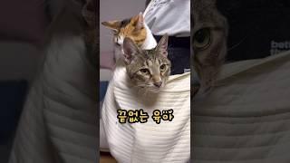 육아에서 벗어나고 싶다