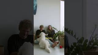 The Secret Sentence That Can Change Your Relationship #RelationshipTips #Communication #Shorts