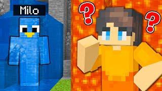 ONE COLOR CAMOUFLAGE Hide and Seek in Minecraft Prop Hunt