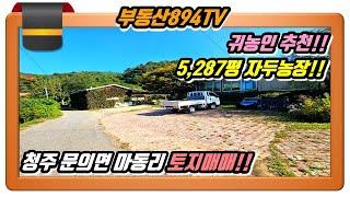 [청주토지매매]귀농·귀촌인 추천 5,287평 대형 자두농장!! 청주시 상당구 문의면 마동리 토지매매!!,#청주토지매매,#문의면토지매매,#문의면마동리토지매매