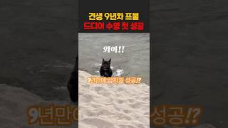 오래살고 볼일이네! 견생 9년만에 수영능력이 생겨버린 간장이️ 기특하고 장하다! #강아지 #애견영상 #반려견 #운동하는강아지 #오운완 #운동천재 #강아지여행 #강아지수영