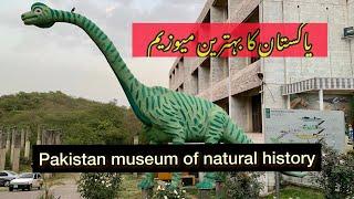 Pakistan Museum of Natural History,Islamabad