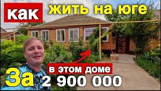 Продается дом на юге ! Много плодовых деревьев и шикарный виноградник. Ставропольский край.