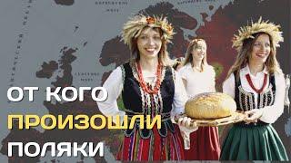 От кого произошли поляки? | Происхождение польского народа