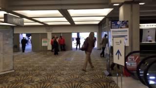 Tesla Motors International Auto Show Event: Entrance