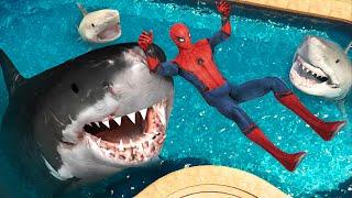 GTA 5 - Megaladon, Big White Shark, Tiger Shark vs SPIDERMAN ep.3 (Epic)