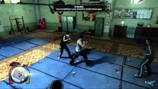 Sleeping Dogs Enemy Types Video Guide | Gamers Heroes