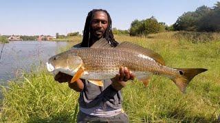 The King Of The Bayous!  Fishing For Redfish In Downtown Houston