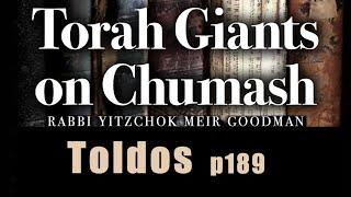 Toldos - The Voice Of Yaakov, The Hands Of Eisav - Steven Geller