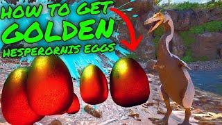 The BEST WAY to GET GOLDEN HESPERORNIS EGGS in Ark Survival Ascended!!!