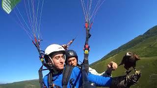 Flying with Eagles!! Parahawking Spain