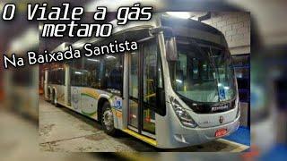 #Especiaisdabaixada | O Viale a gás metano