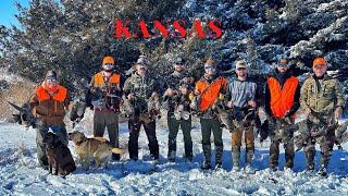 Kansas Pheasant Hunt | Part 2