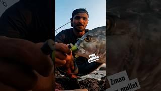 Gt on zman diezel minnowZ #fishingingoa #shorts #youtubeshorts