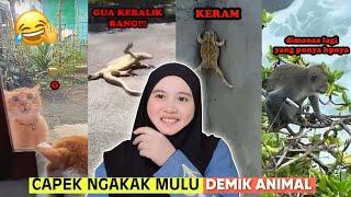 CAPEK NGAKAK MULU! GOKIL BANGET DEMIK ANIMAL PART 2 | REACTION