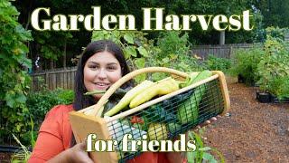 Salsa Garden Harvest | harvesting veggies for friends