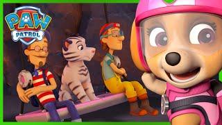 Ultimate Rescue Pups save Turbots and Tigers from a Volcano! | PAW Patrol Episode Cartoons for Kids