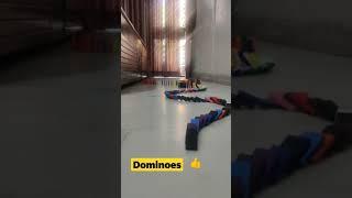 Fun with Dominoes #shorts #YoutubeShorts #trending