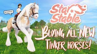 Buying ALL of the NEW TINKERS! | Star Stable Updates