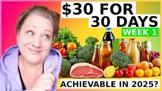 ** MEGA VLOG ** $30 for 30 DAYS - BUDGET GROCERY HAUL CHALLENGE in 2025 Can it be done?