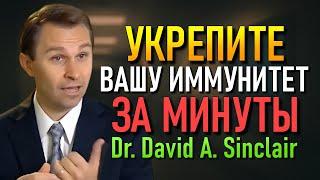 Эта простая техника быстро укрепляет ваш иммунитет! (Доктор Дэвид Синклер)