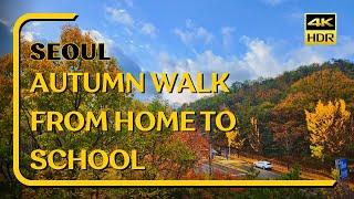 Autumn Stroll from Home to School | Exploring Seoul's Beauty  | 4K HDR