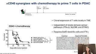 Generating T Cell Responses in the Immunosuppressive Tumor Microenvironment