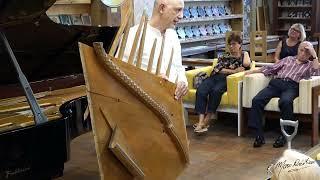 Lezione tecnica sul pianoforte con il Professor Tarallo