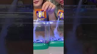 Let’s grow these! Watch our new video on YouTube explaining Sea-Monkeys! #seamonkeys