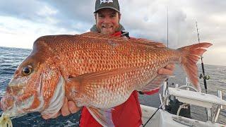 Slow Jigging Reef Fish (catch, clean, cook)