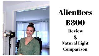 AlienBees B800 Review & Natural Light Comparison