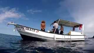 Diving in the gulf of Papagayo with Sirena divers Costa Rica