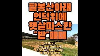 (토지221)팔봉산아래언덕위의 따뜻한 '밭' 매매, 서산팔봉면호리소재, 3,306㎡(984), 답, 계획관리지역, 매매3억2,500만원