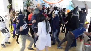 Archilovers Harlem Shake