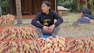 Single father, harvesting potatoes to sell, daily life looking for a new shelter