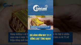 Giá vàng 31/1 đồng loạt tăng mạnh | CafeLand