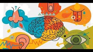 What is sensory marketing? - HogarTv producido por Juan Gonzalo Angel Restrepo