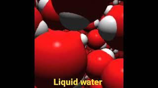 A Molecular Model of Liquid Water #shorts #chemistry #water #molecule