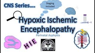 HYPOXIC ISCHEMIC ENCEPHALOPATHY || HIE || CNS Series CH#6