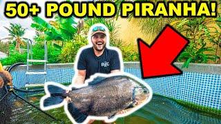 Catching a 50lb+ PIRANHA with My BARE HANDS!!! (ft. Catch Em All Fishing)