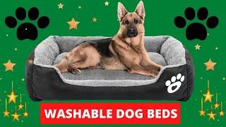 Top 5 elevated dog bed for large dog 2021 - top 5 best large dog bed 2021