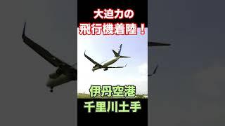 【大迫力の飛行機着陸！伊丹空港千里川土手】　#shorts