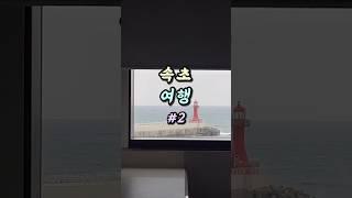 속초(먹방)여행 2일차ㅣ장터순대국ㅣ웨일라잇ㅣ귀염뽀짝치즈냥