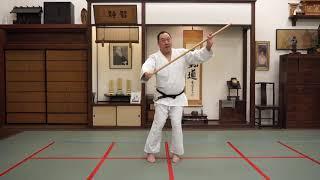 Advanced Jo Short Staff Skills with Ken Watanabe Sensei