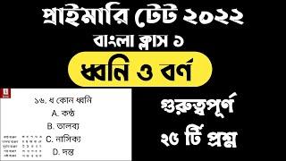 ধ্বনি ও বর্ণ | বাংলা ব্যাকরণ | স্বরধ্বনি ও ব্যঞ্জনধ্বনি |