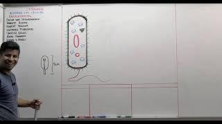 Semana 4 CEPRE-UNSCH Citología I