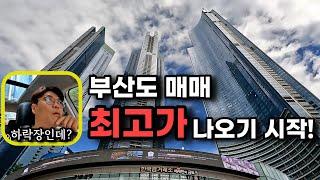 해운대 엘시티 급매물 완판, 부자들의 선택 이유는? (lct)ㅣ 카오소장