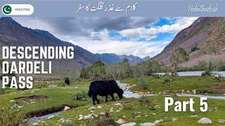 Descending Dadreli Pass towards Ambish | Kalam to Ghizer Gilgit trek