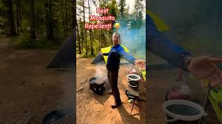 Best Mosquito Repellent & Bear Attractant when Camping 