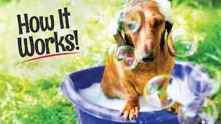 Splash and Dash for Dogs TV Spot